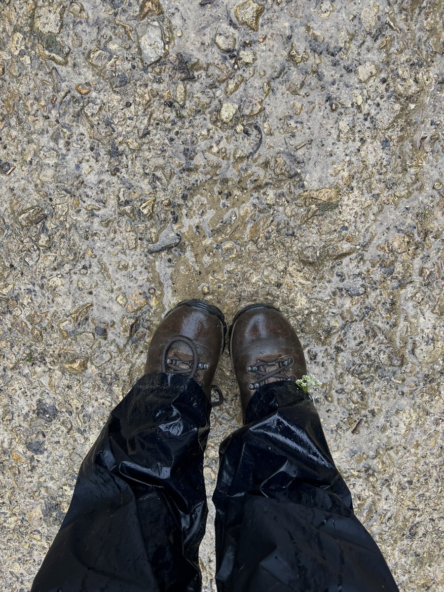 hikingshawty's tweet image. no such thing as bad weather, only your attitude towards it