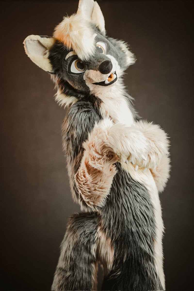 BreetoTheFox's tweet image. Just had the opportunity to get some really nice photos from @Eosandy at #POLARIS2025 thank you so much 😁