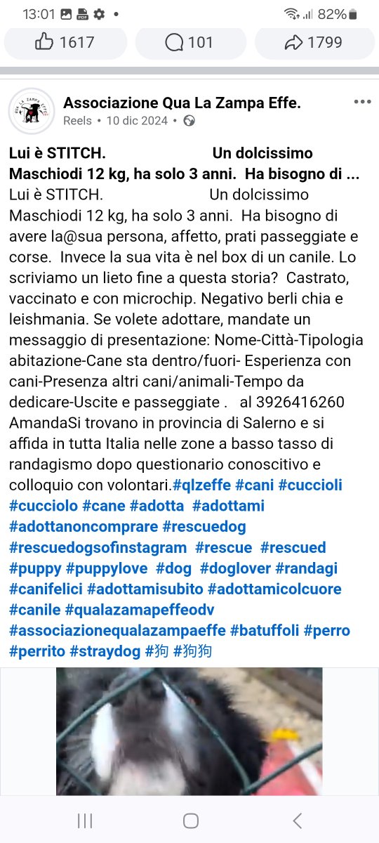 annina_cutillo's tweet image. 