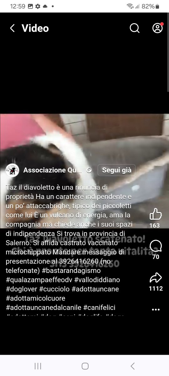 annina_cutillo's tweet image. 