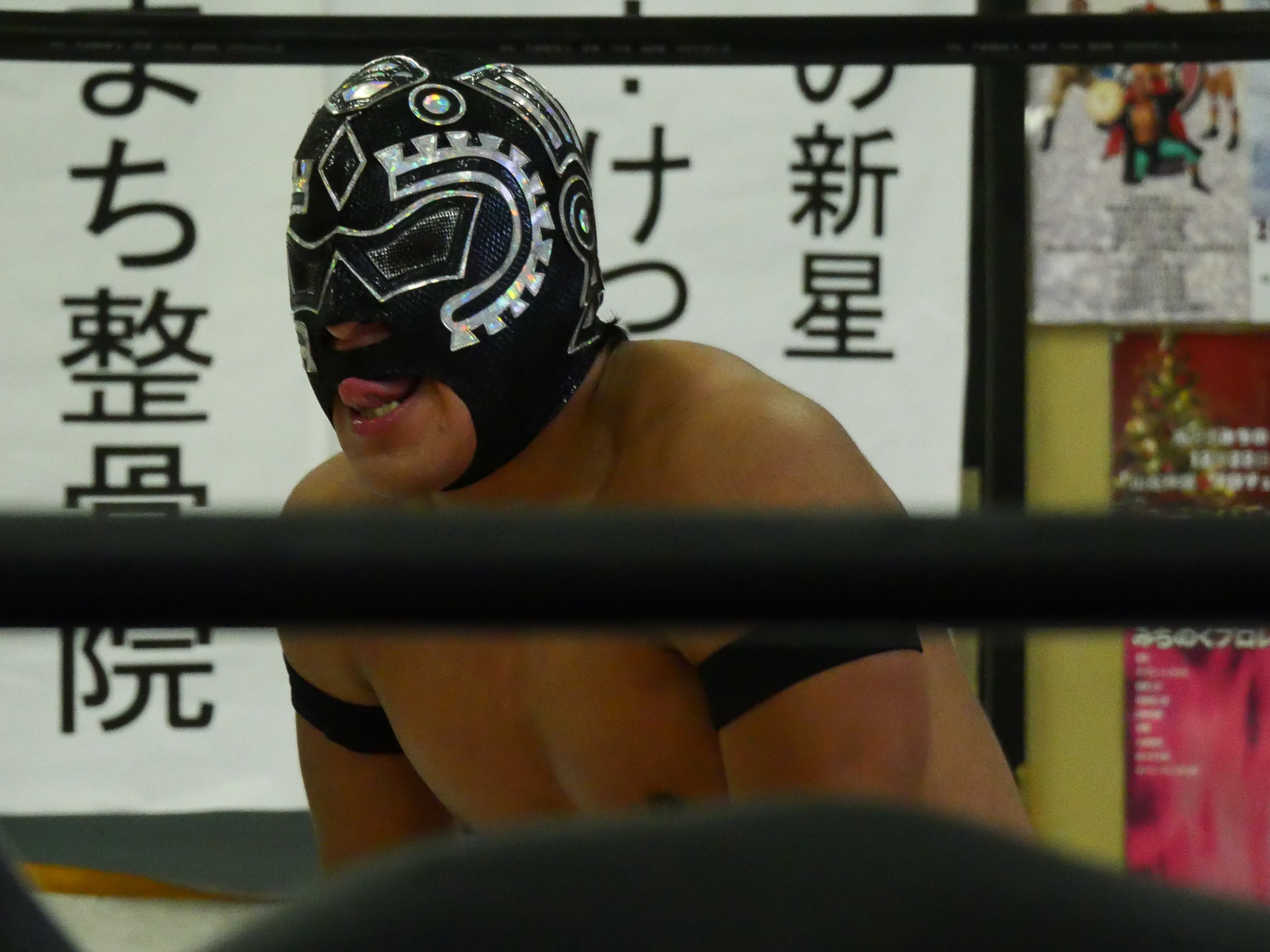 バドチャン（感謝） ハト§( º灬º ) on X: 