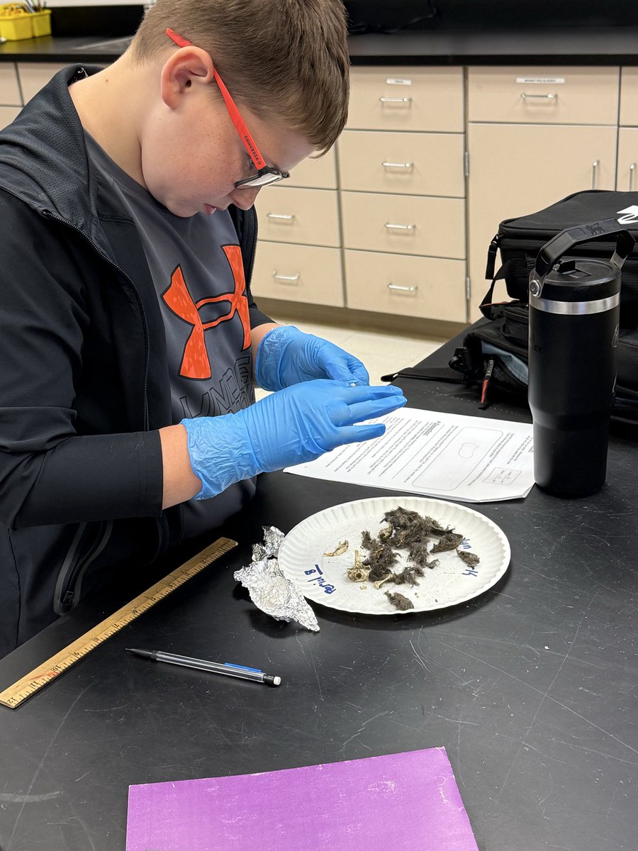 Sally Maxwell tweet media