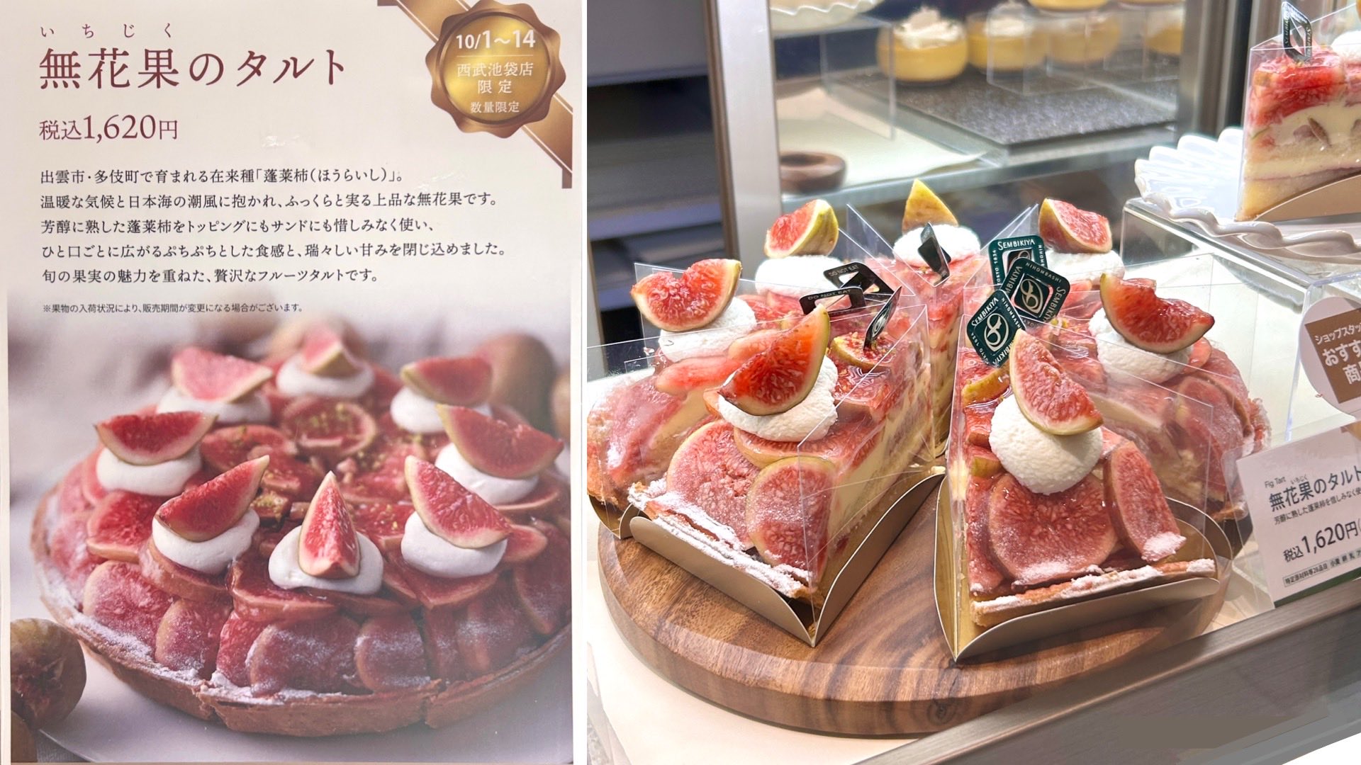 あきちゃん様2点セット あさみみちゃん】数量限定❣️NEW ITEM全部セット