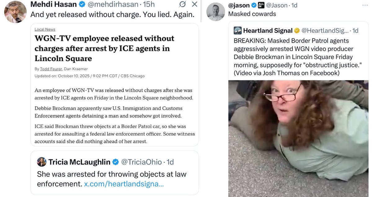 TheTNHoller's tweet image. ICYMI — They lied about why they assaulted the WGN producer (then rammed a car for no reason)