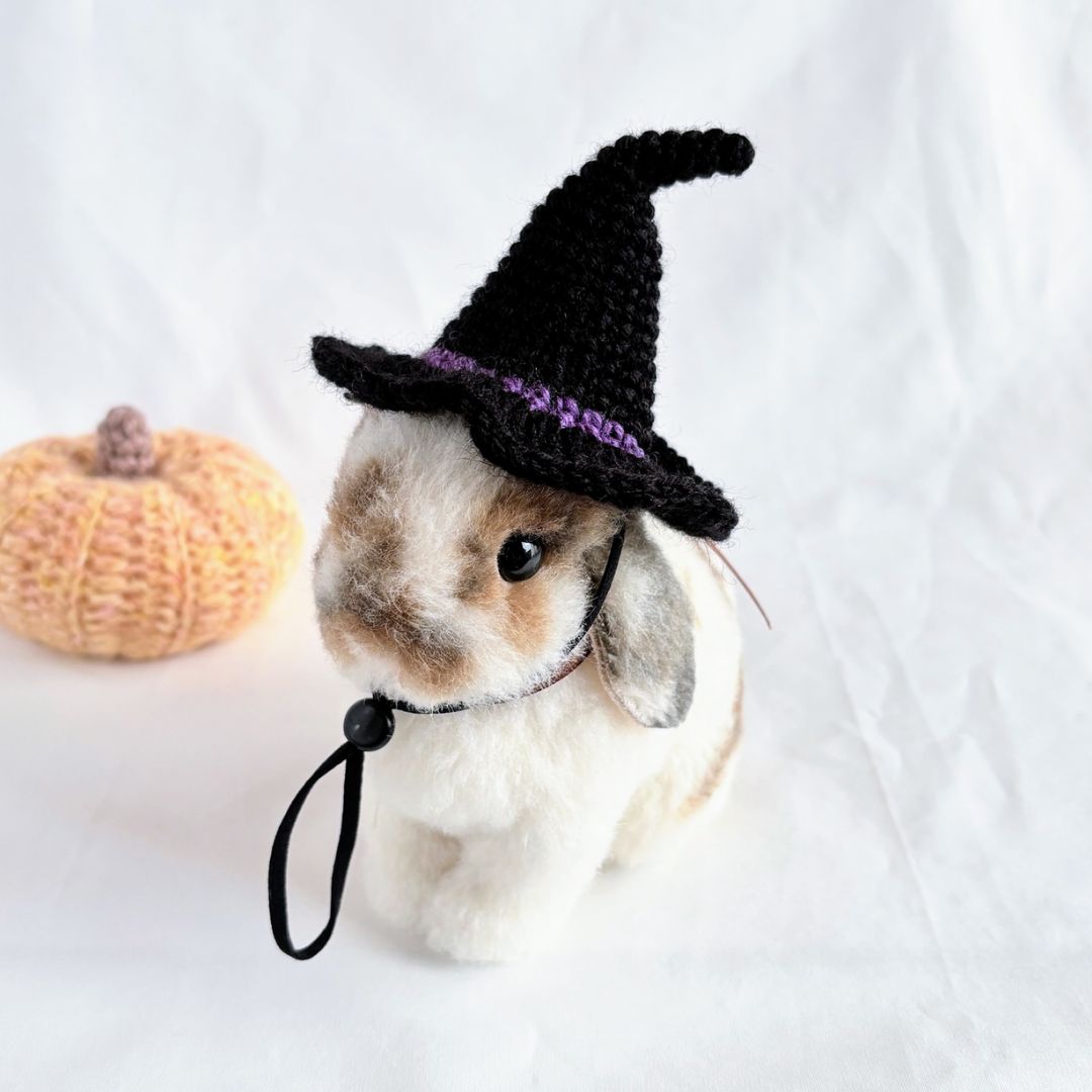 魔女の帽子のぬいぐるみ 288673d9c9904cd19e722be46eaeb0