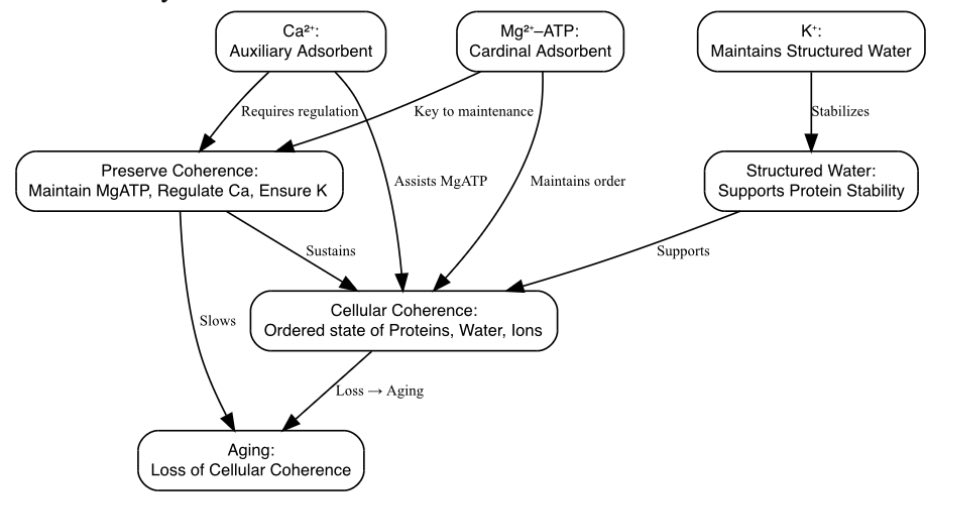 aihtheory's tweet image. AIH principle to slow aging / chronic diseases.