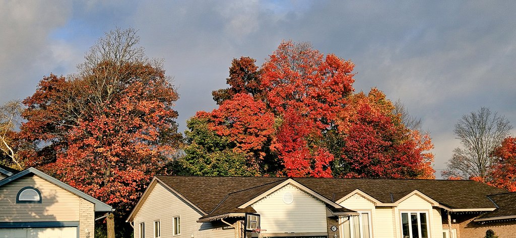 The colours here make us so happy  🧡🍁🍂