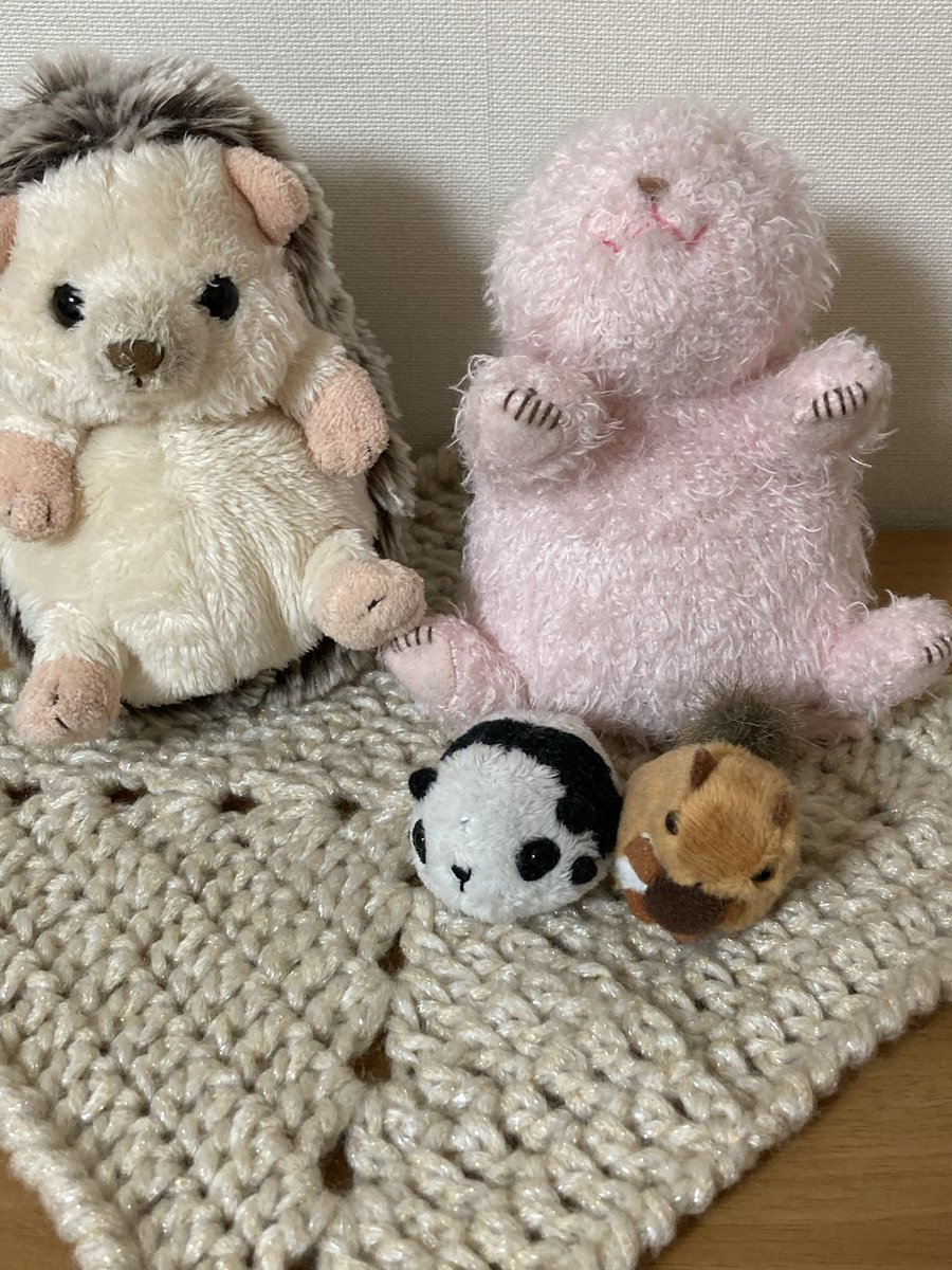 学校にあった毛糸救済した
#編み物 #かぎ針 #編み物好きさんと繋がりたい