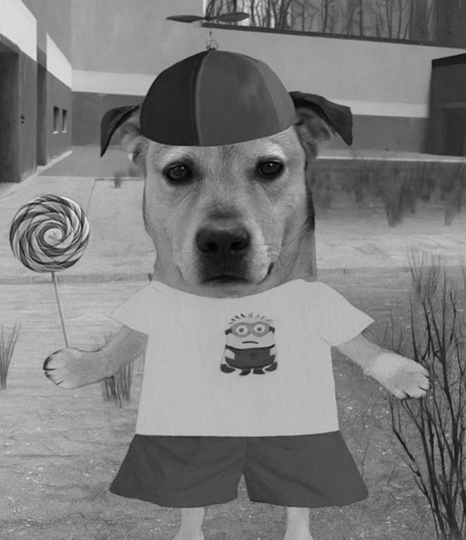 a sensação de ver todo mundo postando foto na bgs