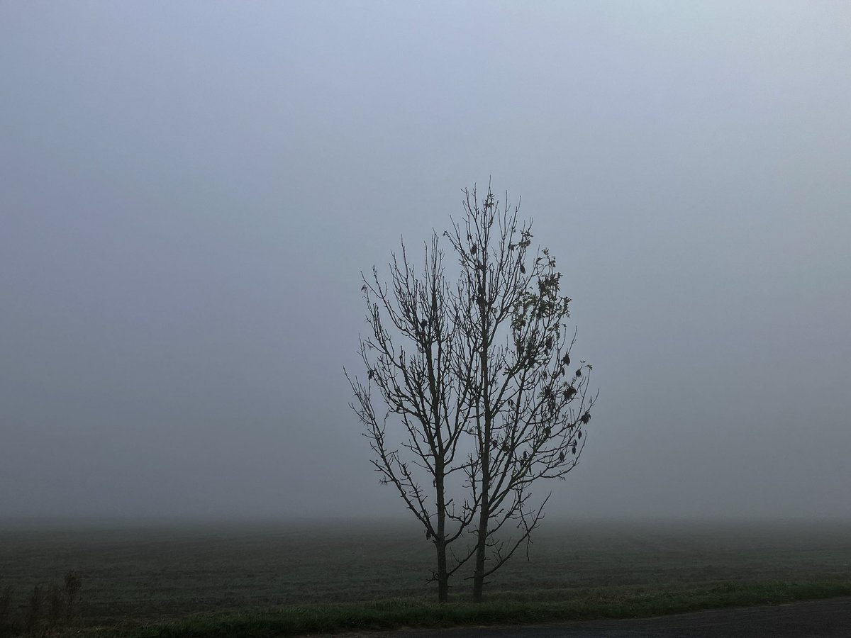 That Flo Woman tweet media