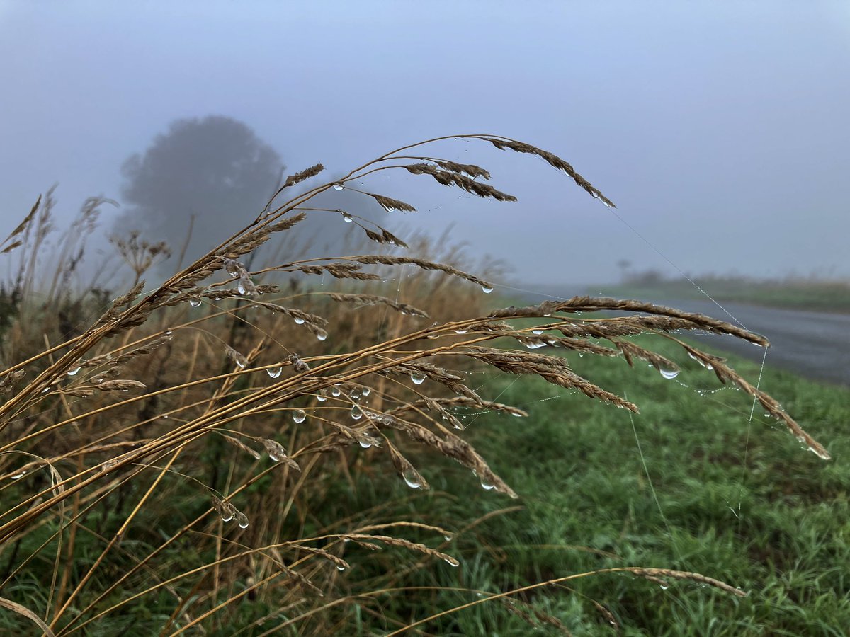 That Flo Woman tweet media