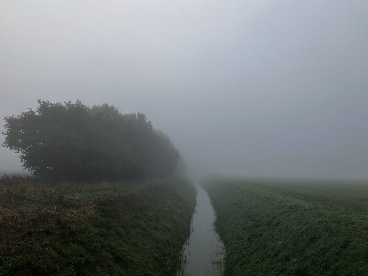 That Flo Woman tweet media