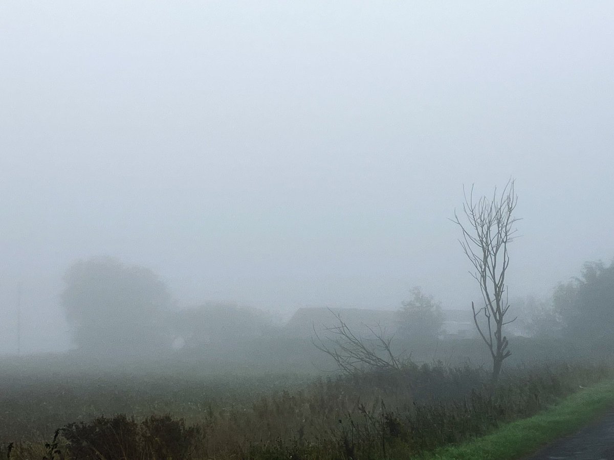 That Flo Woman tweet media