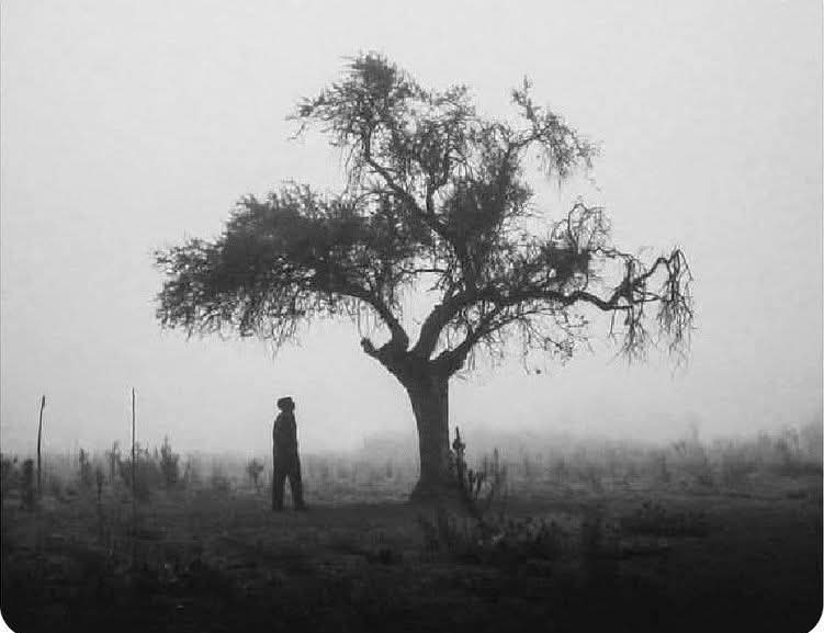 کسی کی حوصلہ شکنی مت کرو، ہوسکتا ہے وہ آخری امید لے کر چل رہا ہو.