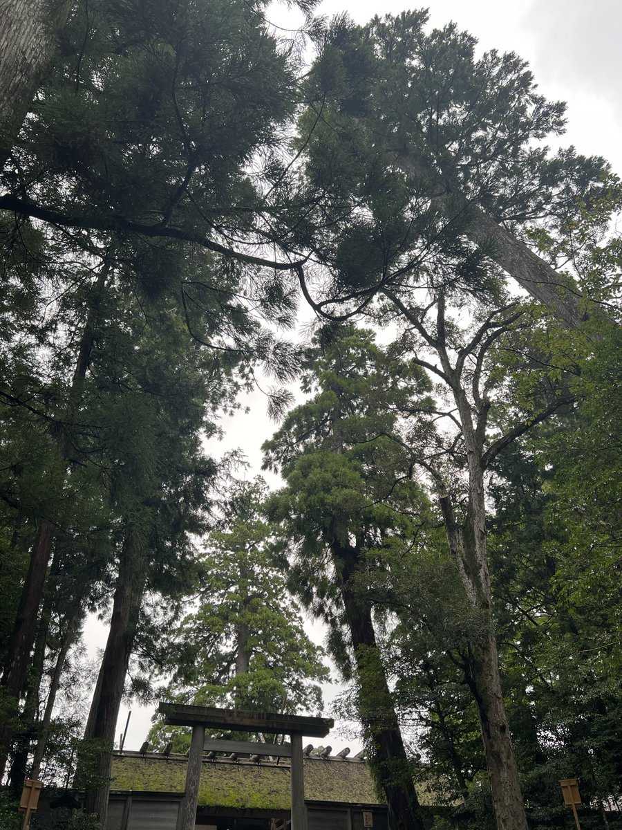 Oguさんからの
おもてなしを受けて
大満足🤩

この後は、餃子ギョウザGYOZA
#伊勢神宮
#美鈴
#三重
#明日はアーティストとハナ専が三重に
