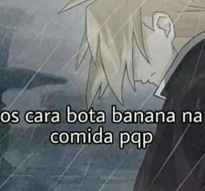 perfil dedicado a gatinhos e p3it0s tweet media