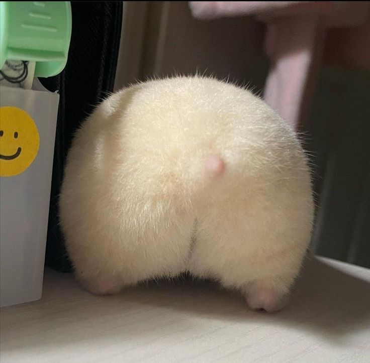 Butt