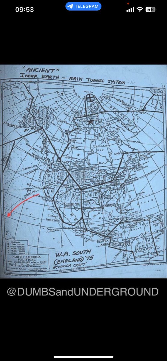 TinaZimmermann4's tweet image. 🥲Child Trafficking Network 
💊The end won’t be for everyone