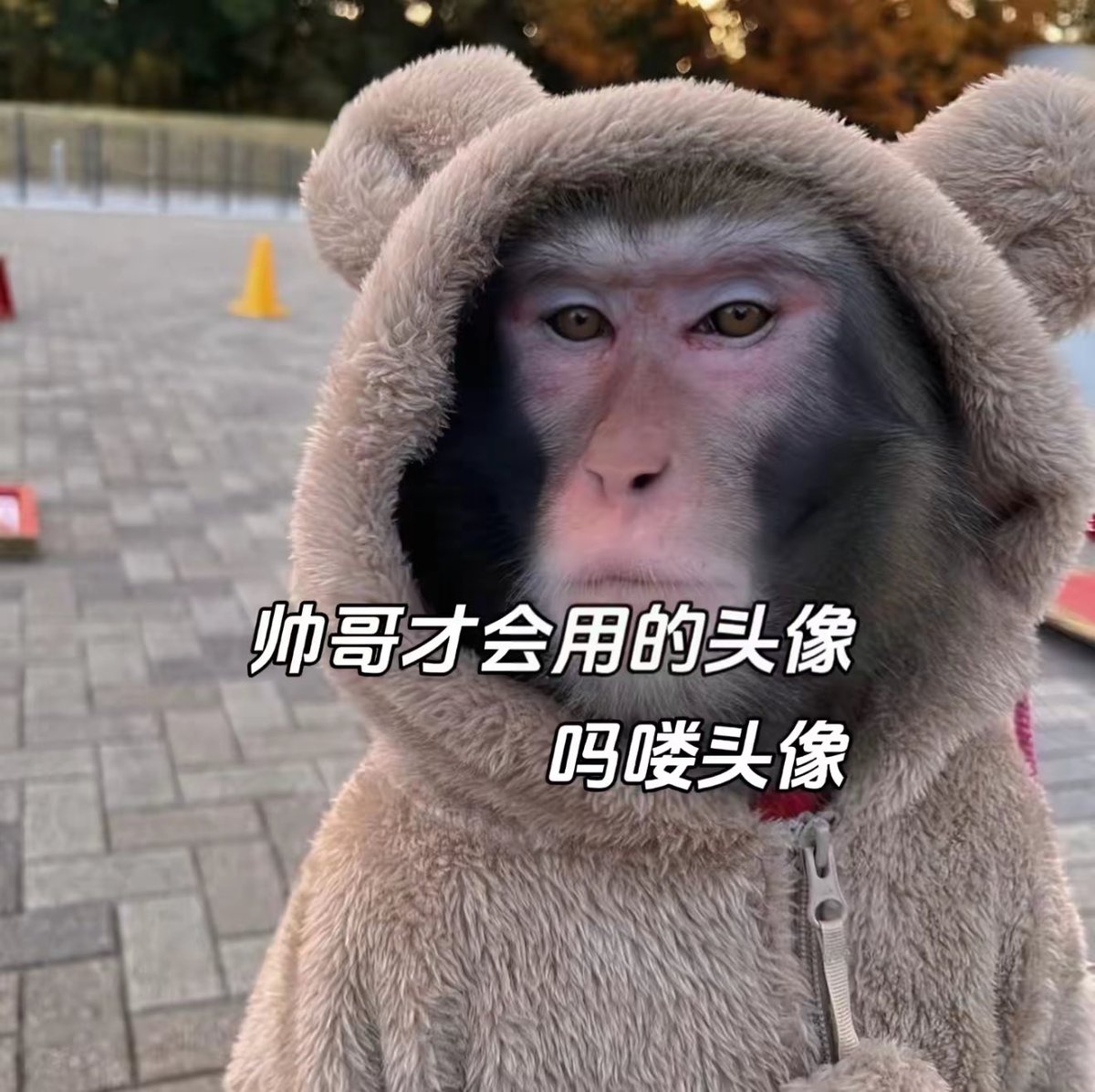 #马喽   一个中国人人皆知的词汇！持续看涨，价值持有，不跟风不pvp。