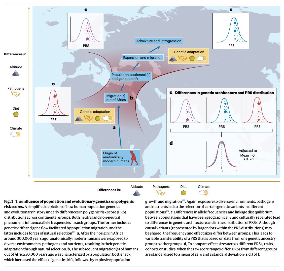 strnr's tweet photo. Review: Clinical use of polygenic risk scores https://t.co/KYJGmhtW16 (read free: https://t.co/Zr0iqtyB8L) 🧬🖥️🧪 https://t.co/im9rrkCnW3