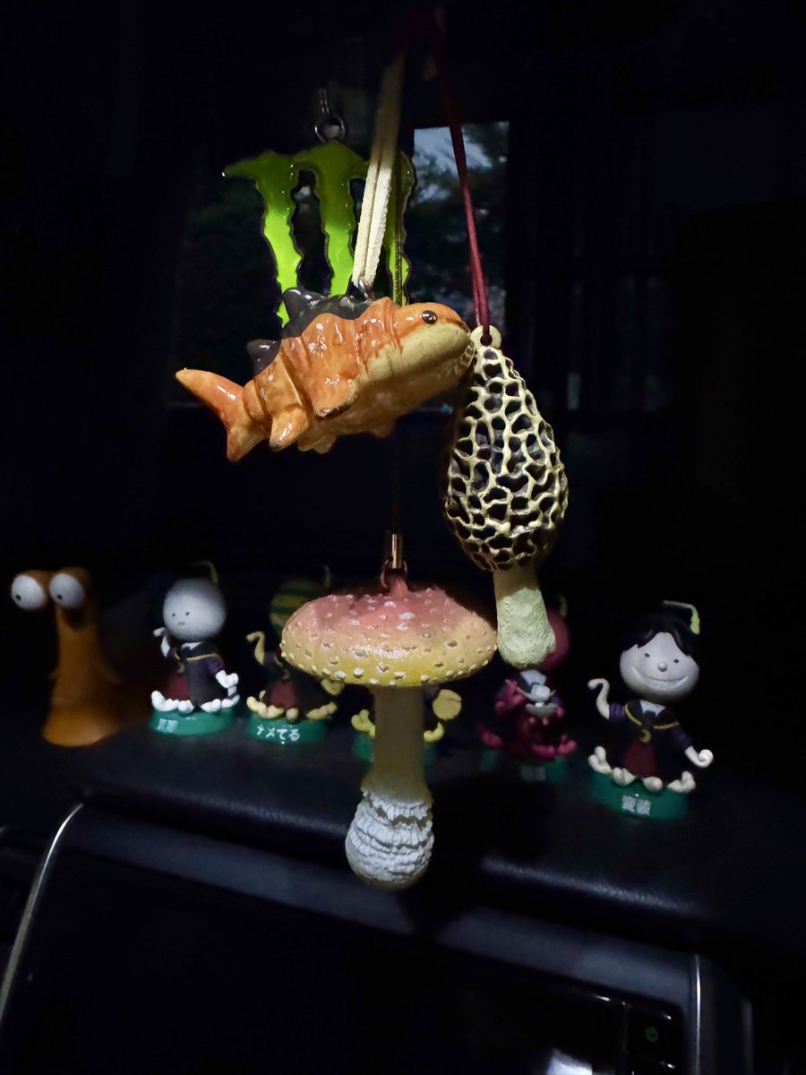 普段行かないお店行ったらキノコガチャ発見！꒰ ´͈ω`͈꒱
ガチャガチャ禁止令を無視してやってしまった꒰ *ﾟ∀ﾟ꒱
もふヘリにキノコ増えた🍄🍄‍🟫♡꒰ ¨̮͚ ꒱