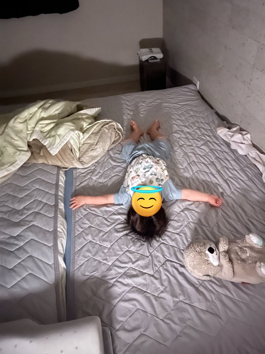 夜にご飯を食べに出るだけでもしたい気持ちと早く寝たい気持ちで揺れ動いてて、結局睡魔に負けて子どもと一緒に寝る毎週末。