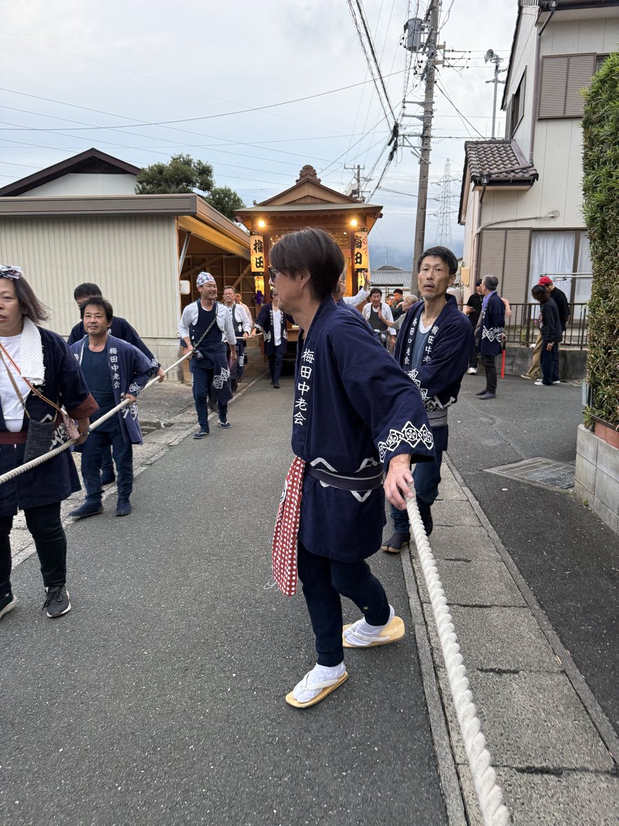 赤猫 杏 赤猫 杏 (@akanekoanzu) / X