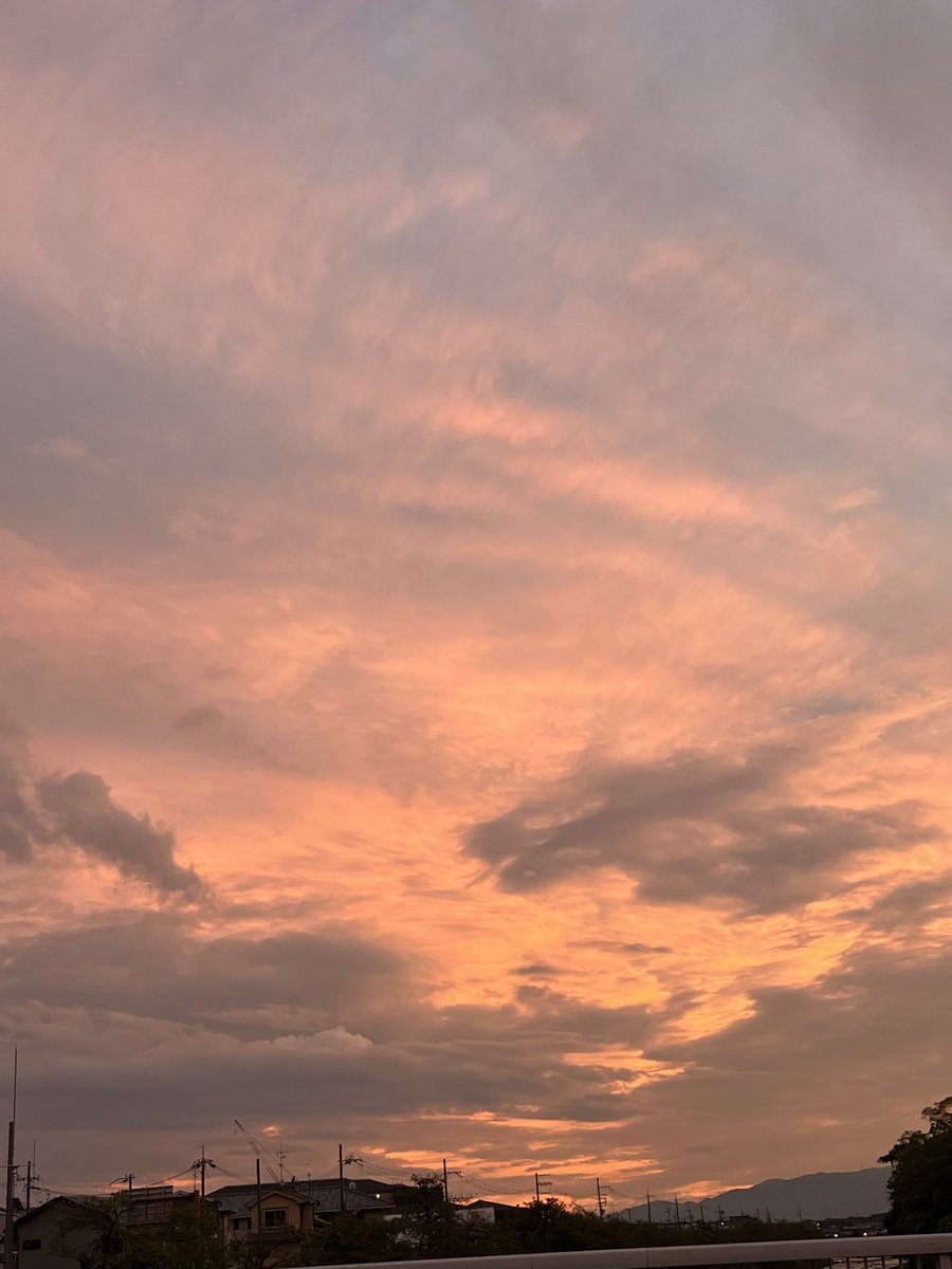 セル画「セロひきのゴーシュ」背景付き 高畑勲展』〜日本の