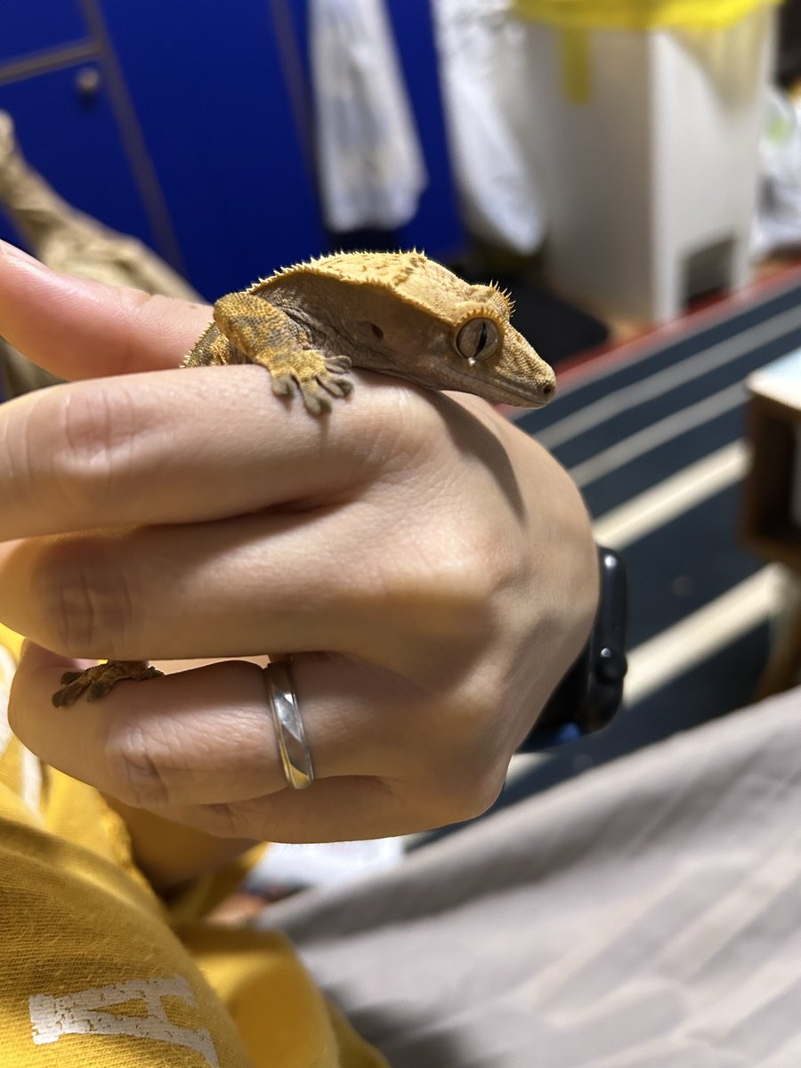 お嫁さん？お迎え！