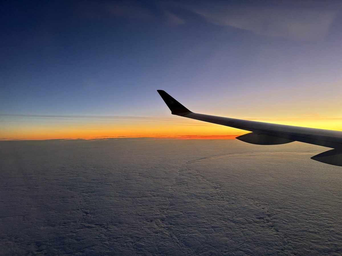 Tom Hingley tweet media