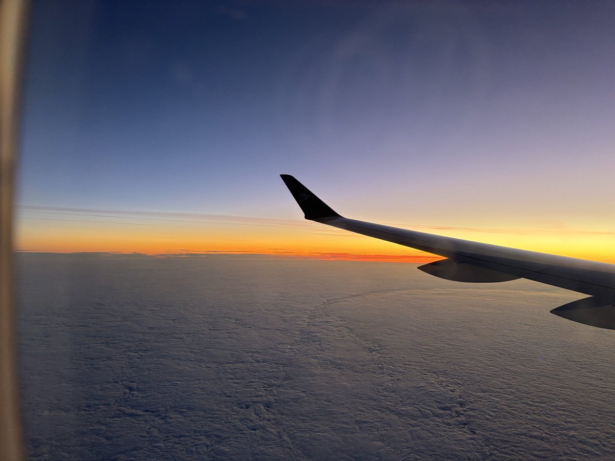 Tom Hingley tweet media