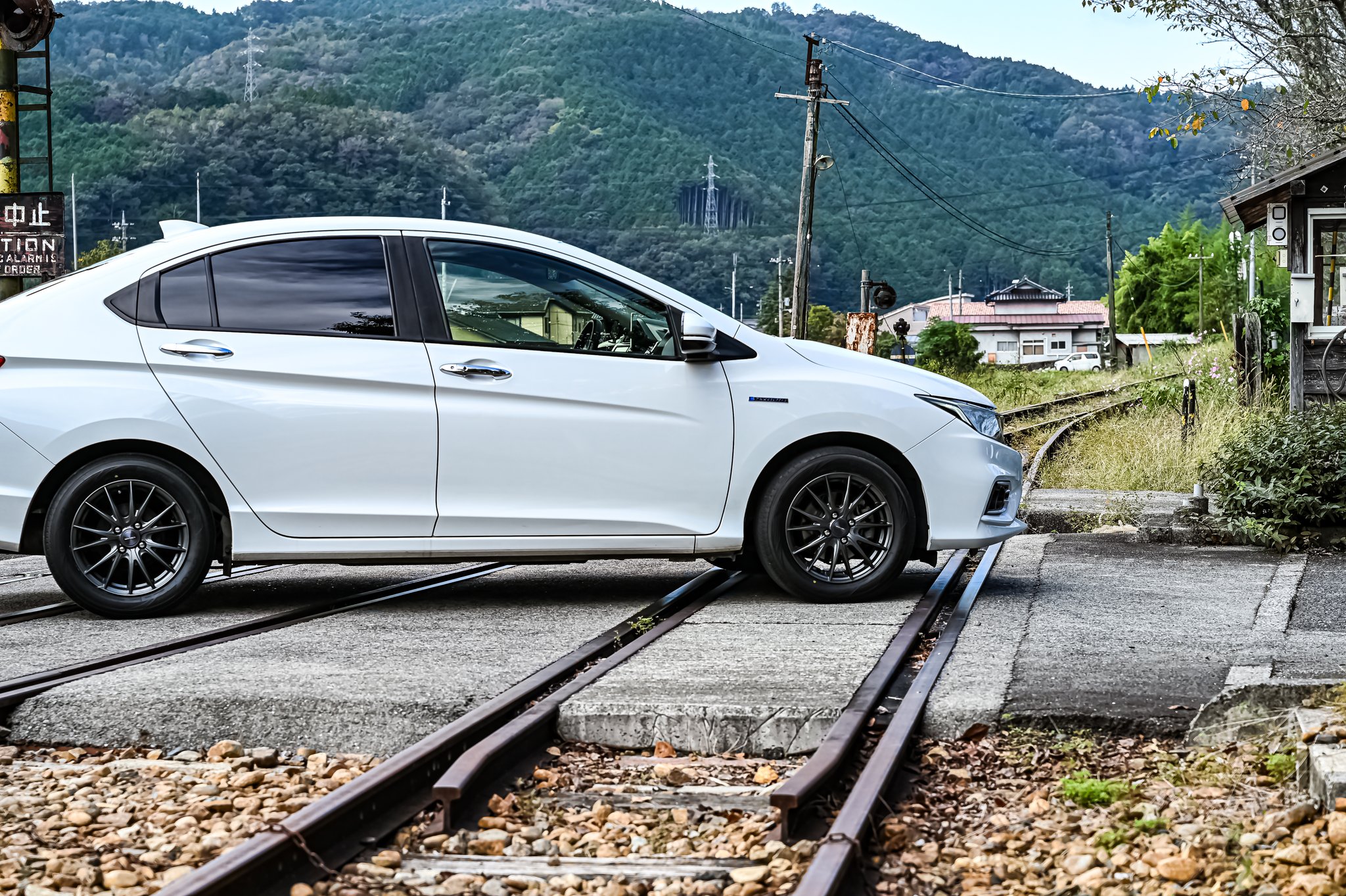 TN　大変お待たせしました！ 楽天市場】おもしろtシャツ 大きいサイズ 和柄 元祖豊天商店