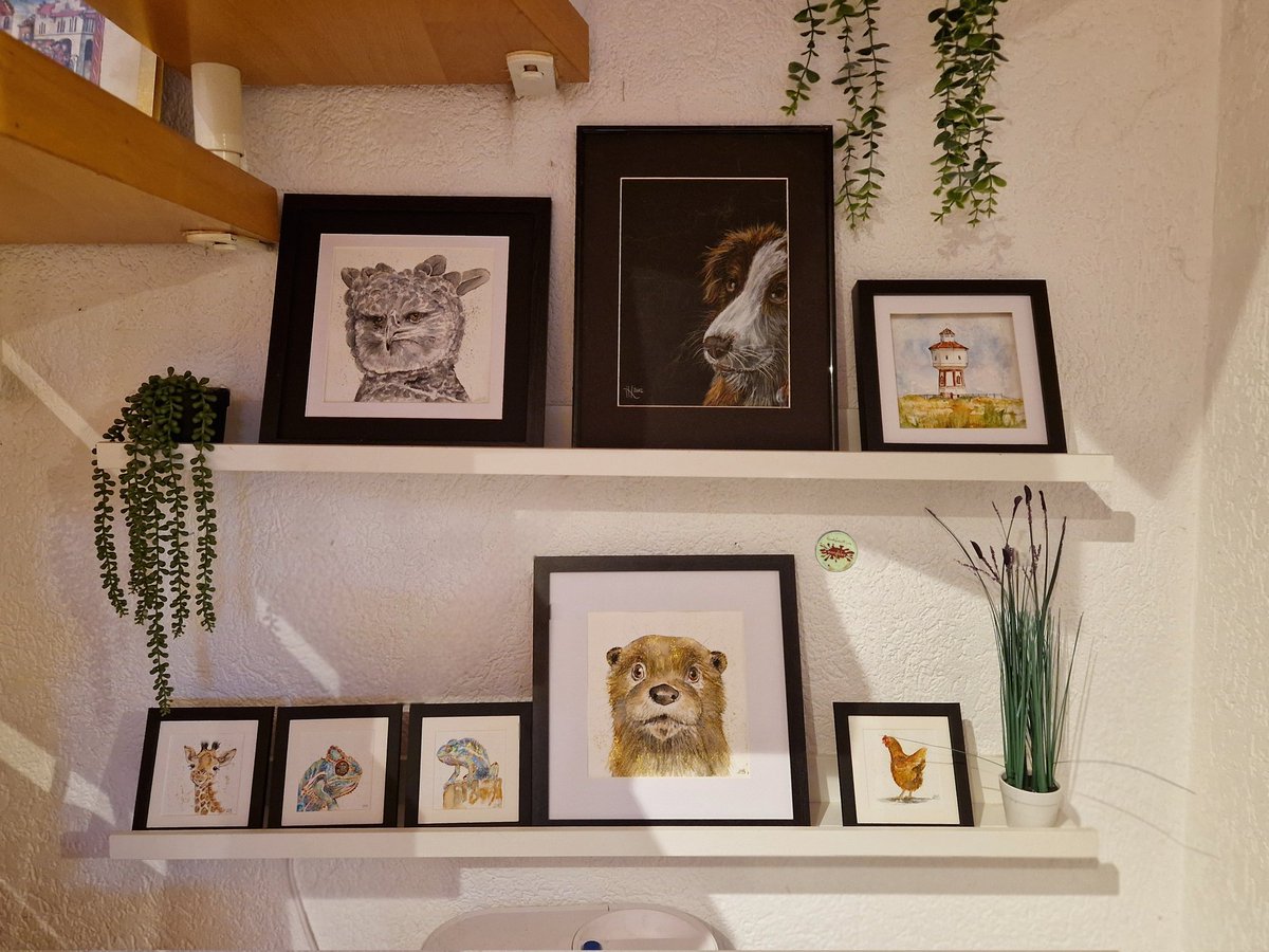 Es ist Sonntag, also wie immer Zootag  - hier wieder die aktuell direkt verfügbaren freilaufenden #wandklex Tiere und Co.
(Fast) alle sind momentan im Original im Klexshop auf wandklex.art/page/shop-alle…  zu finden.