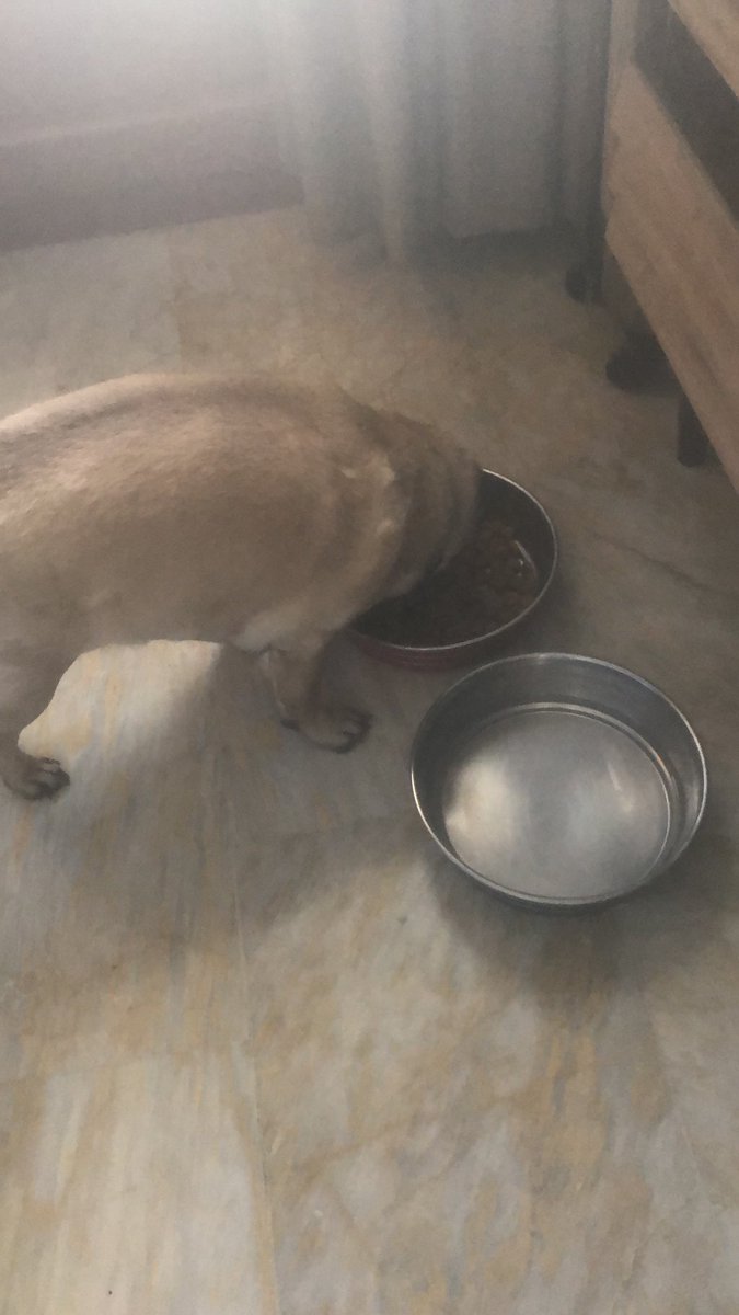 Milan abim pankreatit olmuş üç gün su bilem yasakmış. Gisli gisli mamik yiyom