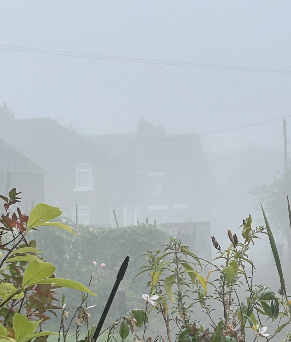 BubblyNas's tweet image. Can’t see very far this morning #Fog
