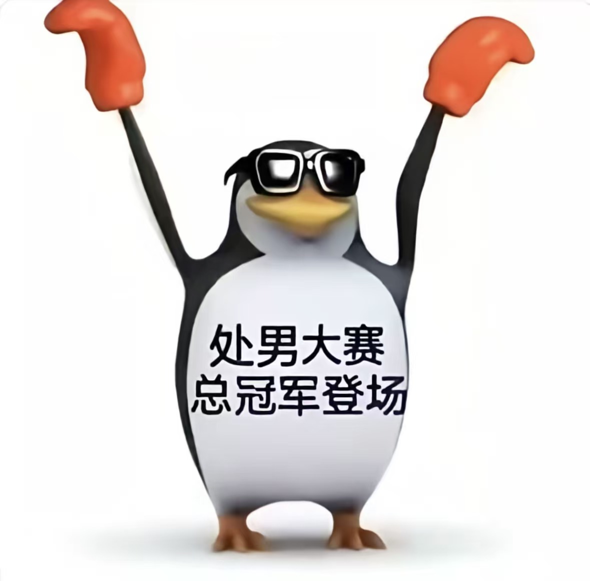 地獄貓 tweet media