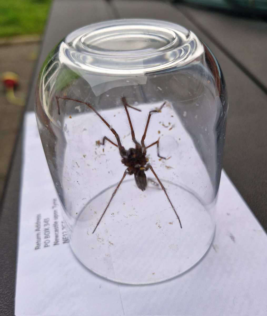 Could have charged this one rent  <a href="/DebShoes72/">Debs</a>