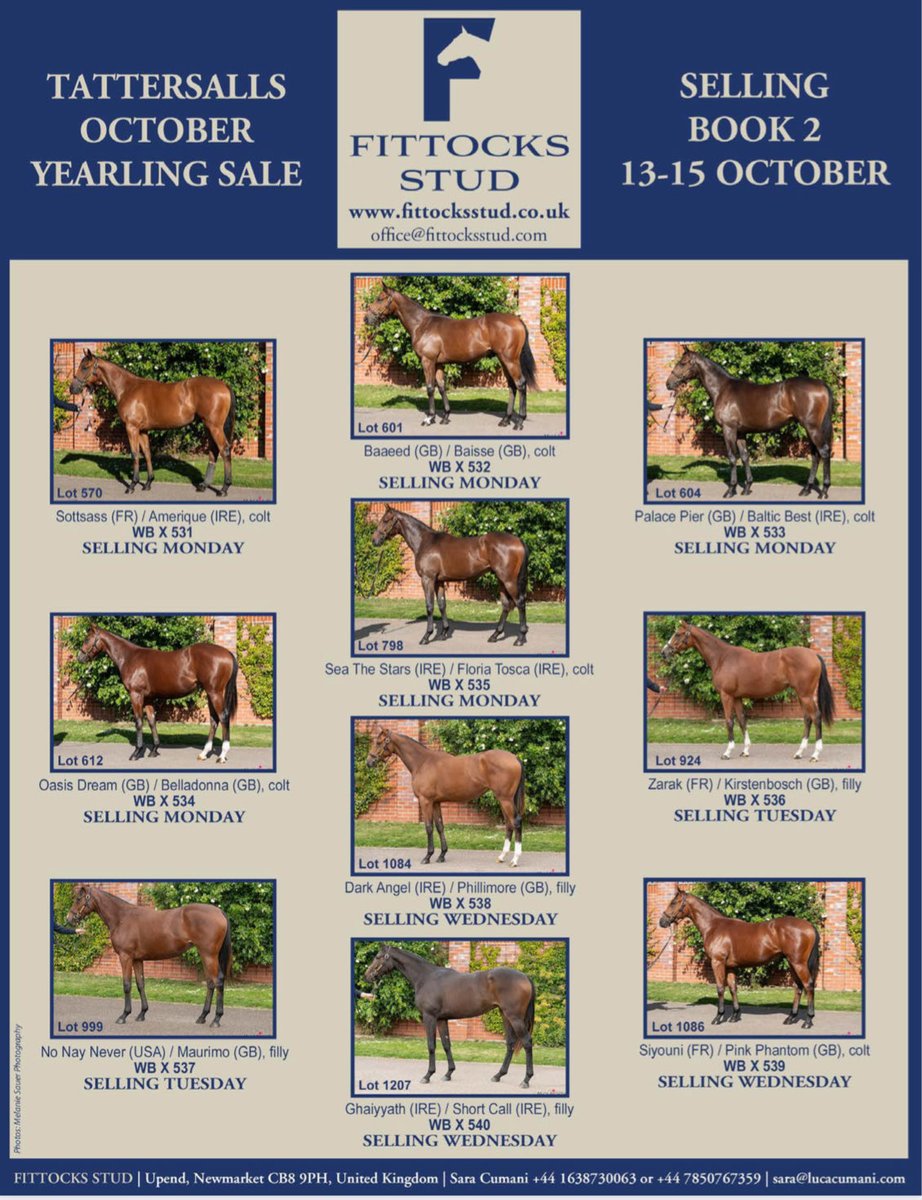 👀 don’t miss the <a href="/fittocksstud/">fittocksstud</a> draft for Tattersalls October Yearling Sale, Book 2