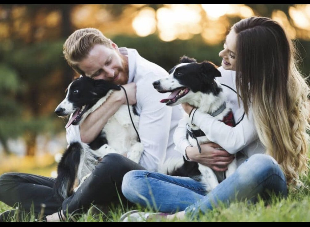 On Pets, Love &amp; Friends 👫 ❤️ 
The effects of pets and human-pet interactions on humans’ romantic relationships and friendships.
journals.sagepub.com/doi/10.1177/02…
