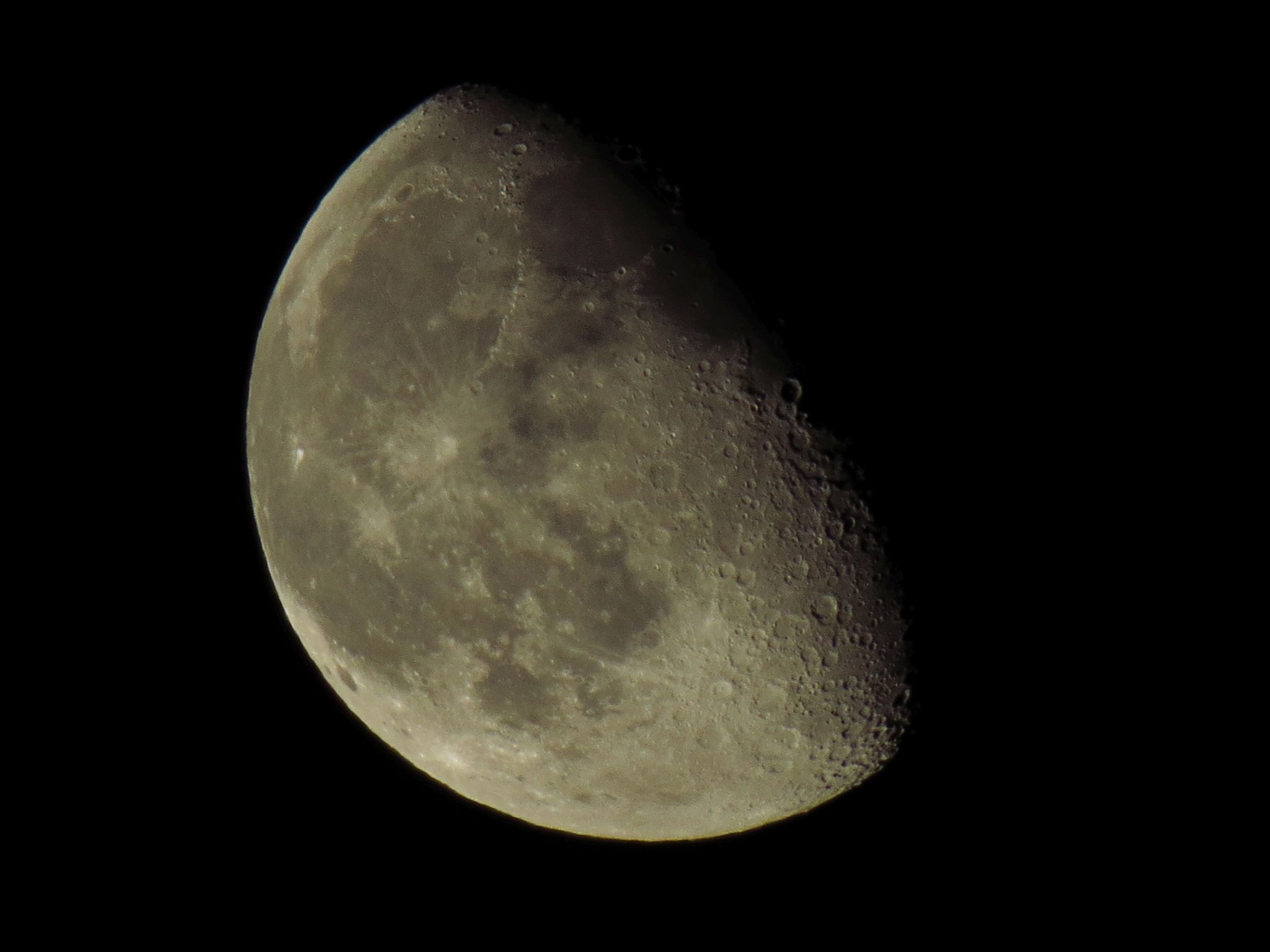 ange garrod 🕷 #rejoinEU on X: 