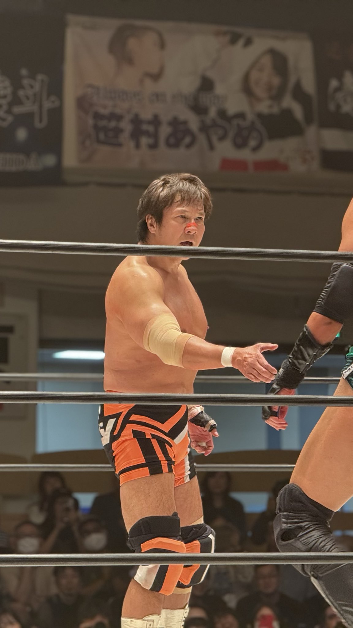 ハオ HAO プロレス 小島 聡 HC スペシャルバージョンセット