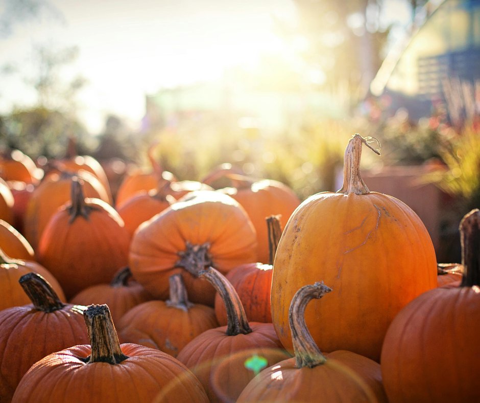 🎃 Enjoy a spooky half-term family break at Heacham Manor from just £109* 
Cosy stays, hearty breakfasts, and easy access to local pumpkin patches, spooky trails &amp; Halloween fun for all ages. 

📩 Book now: eu1.hubs.ly/H0np61Z0

#HeachamManor #FamilyGetaway
*T&amp;CS Apply