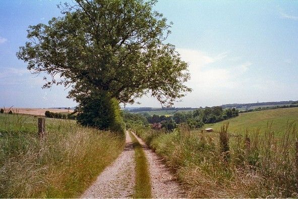 TheBBDirectory's tweet image. Take to the Countryside from Bulltown Farmhouse.

Discover Bulltown Farmhouse — the perfect getaway for those exploring the North Downs Way and the stunning Kent countryside.

bandbstays.co.uk/4090

#BulltownFarmhouse #Kent #NorthDownsWay #PilgrimsWay #Walking #Cycling