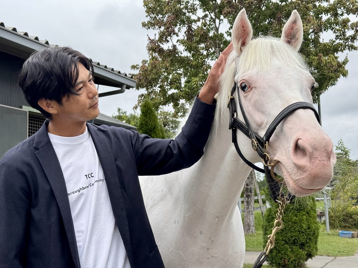 【重大発表📣】
白毛の現役競走馬 #アオラキ が「TCC 広報大使」に就任！
引退後は "会いに行けるアイドルホース" へ

アイドル的な人気を誇る白毛の現役競走馬 アオラキが、この度「TCC 広報大使」に就任することが決定しました🐴‼️
現役競走馬でありながら、TCC