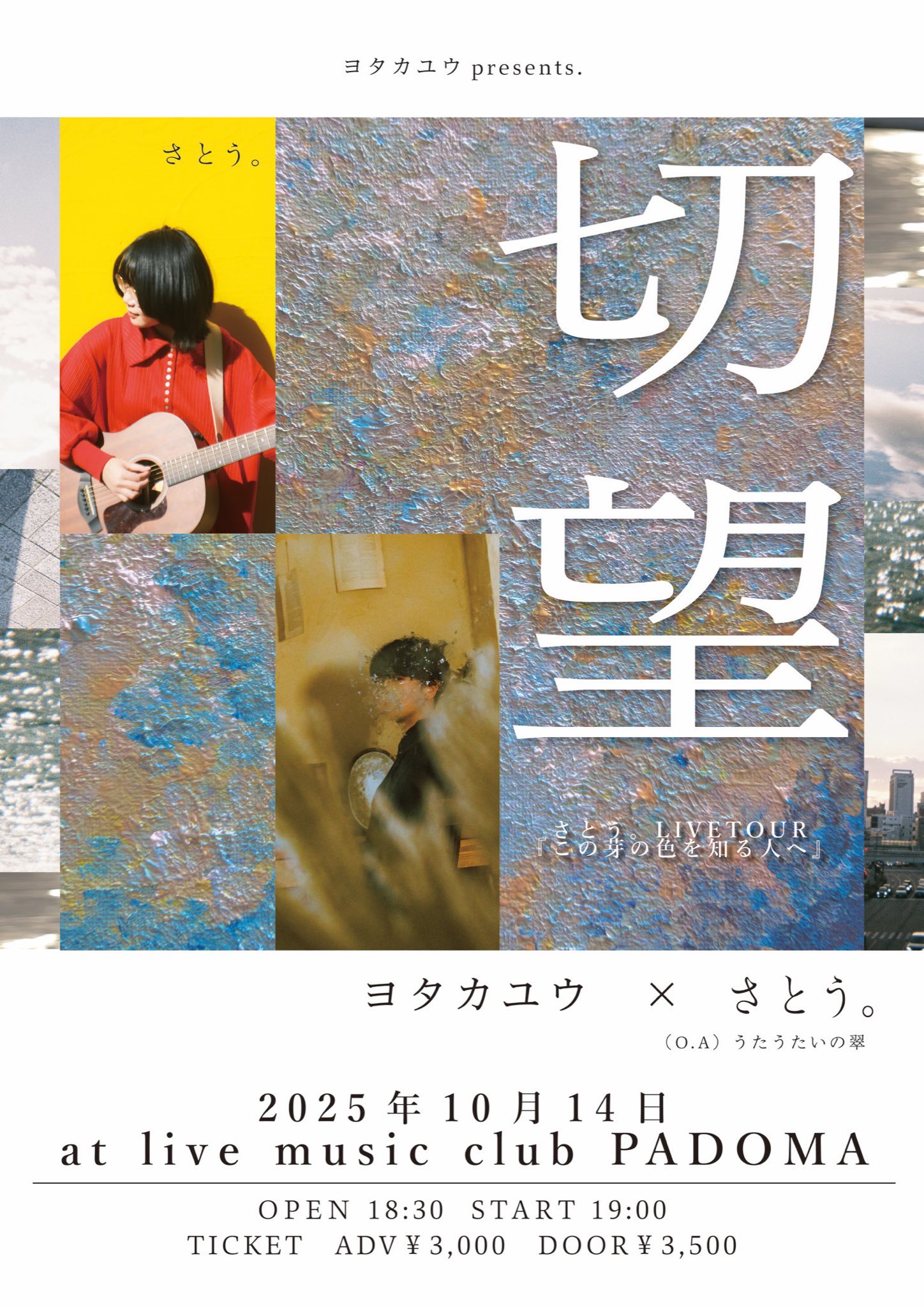 知りたがりの学徒、タミヨウ 2枚 ショーケース 英語 タミヨウ」の激安