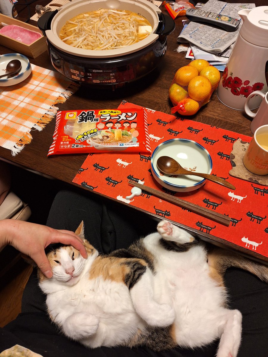 kawaii_nekoniko's tweet image. 鍋たべました