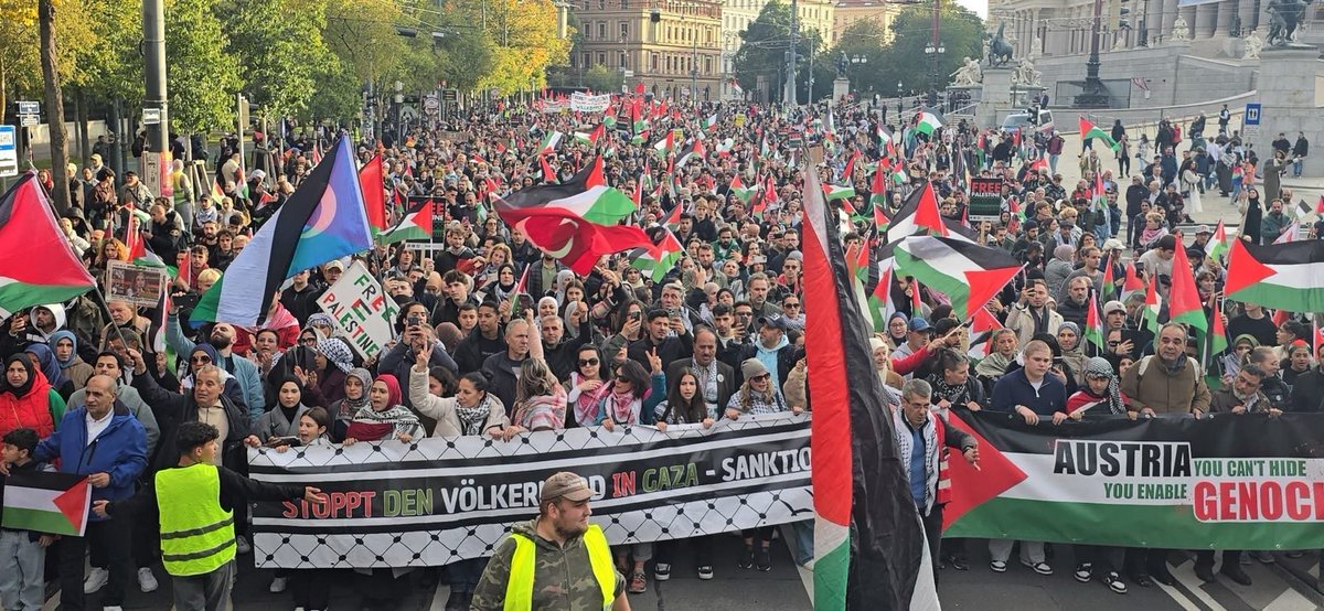 BDS Austria (bdsaustria.bsky.social) tweet media
