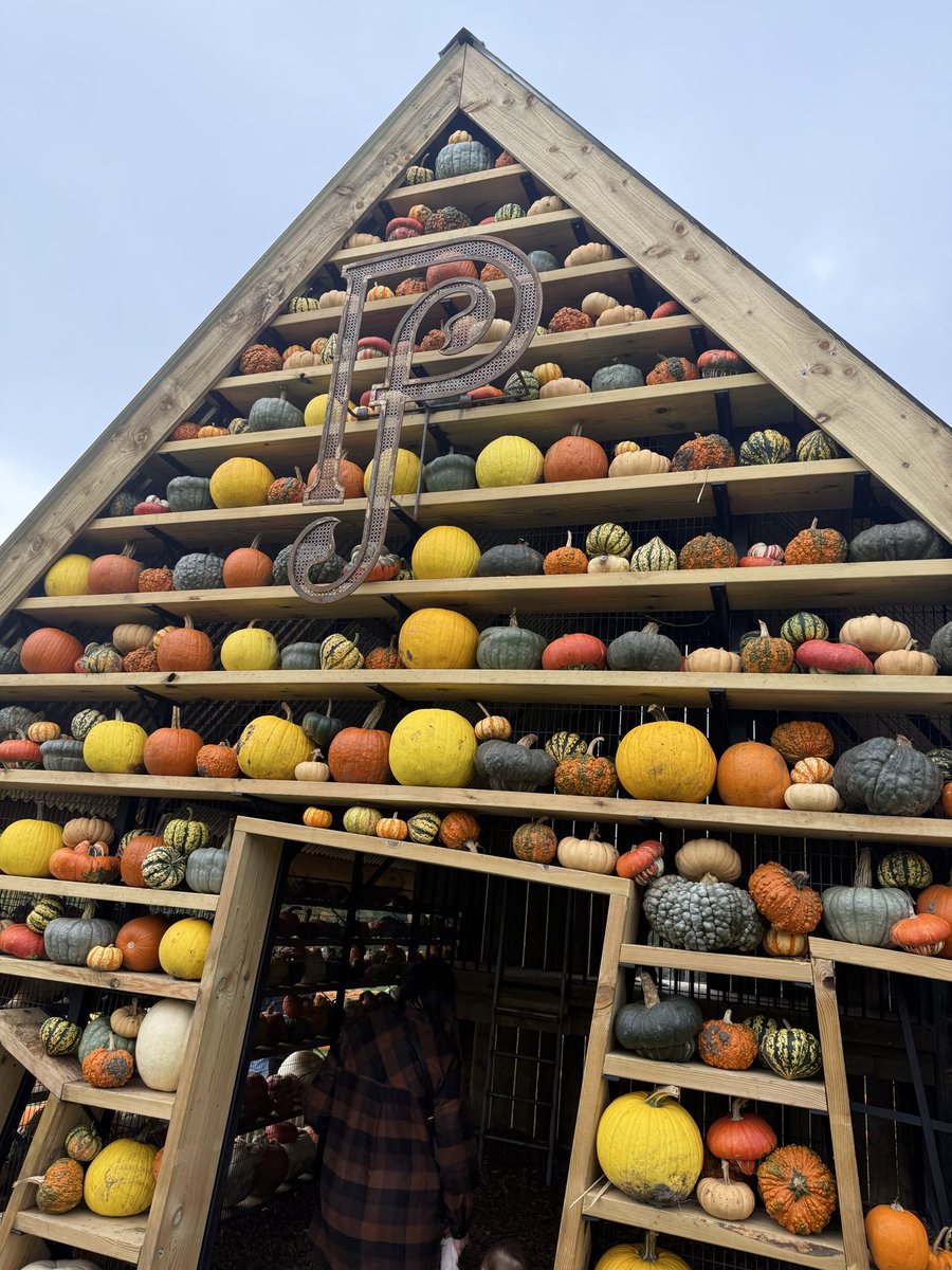 Cat Murray tweet media