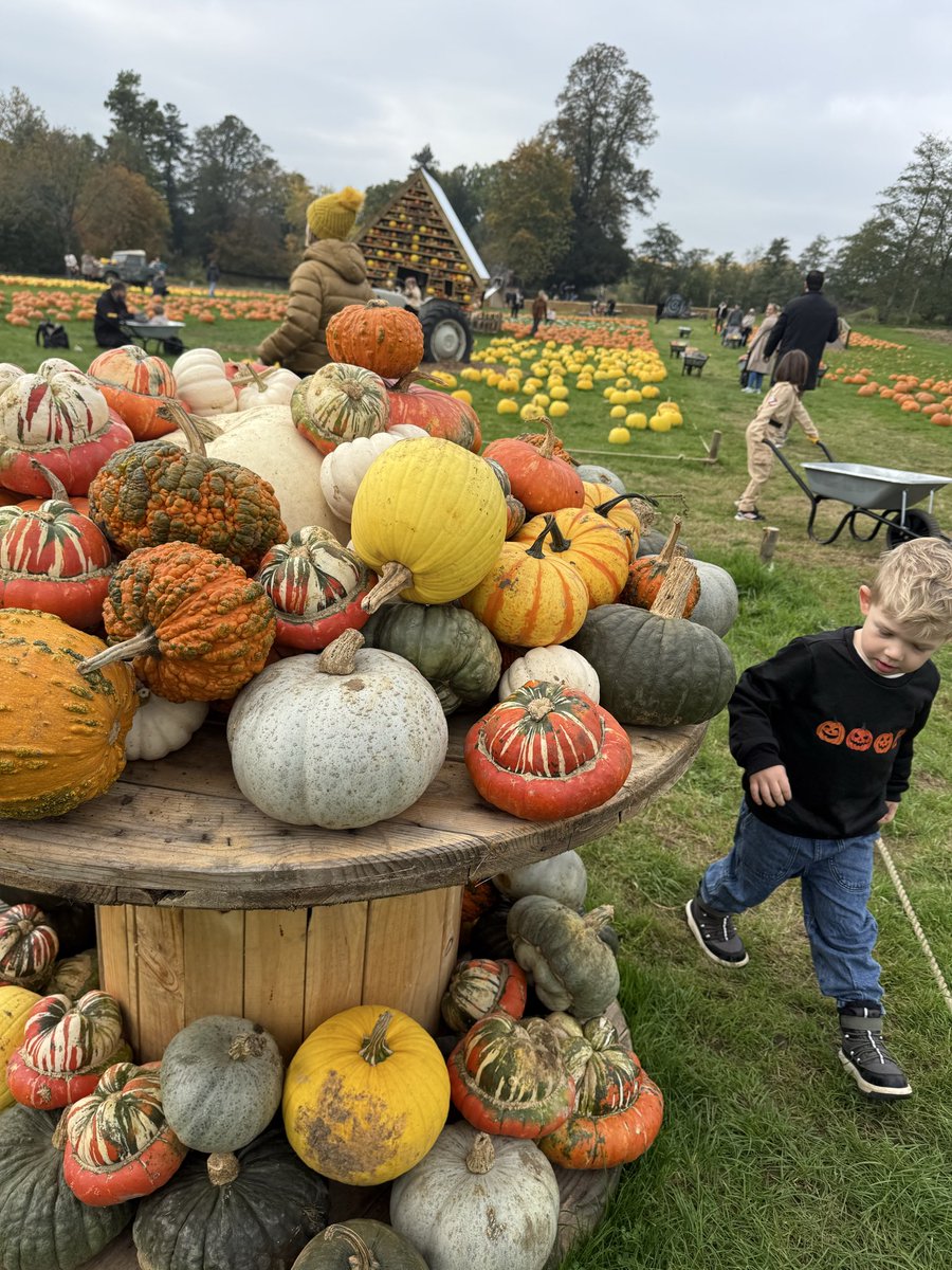 Cat Murray tweet media