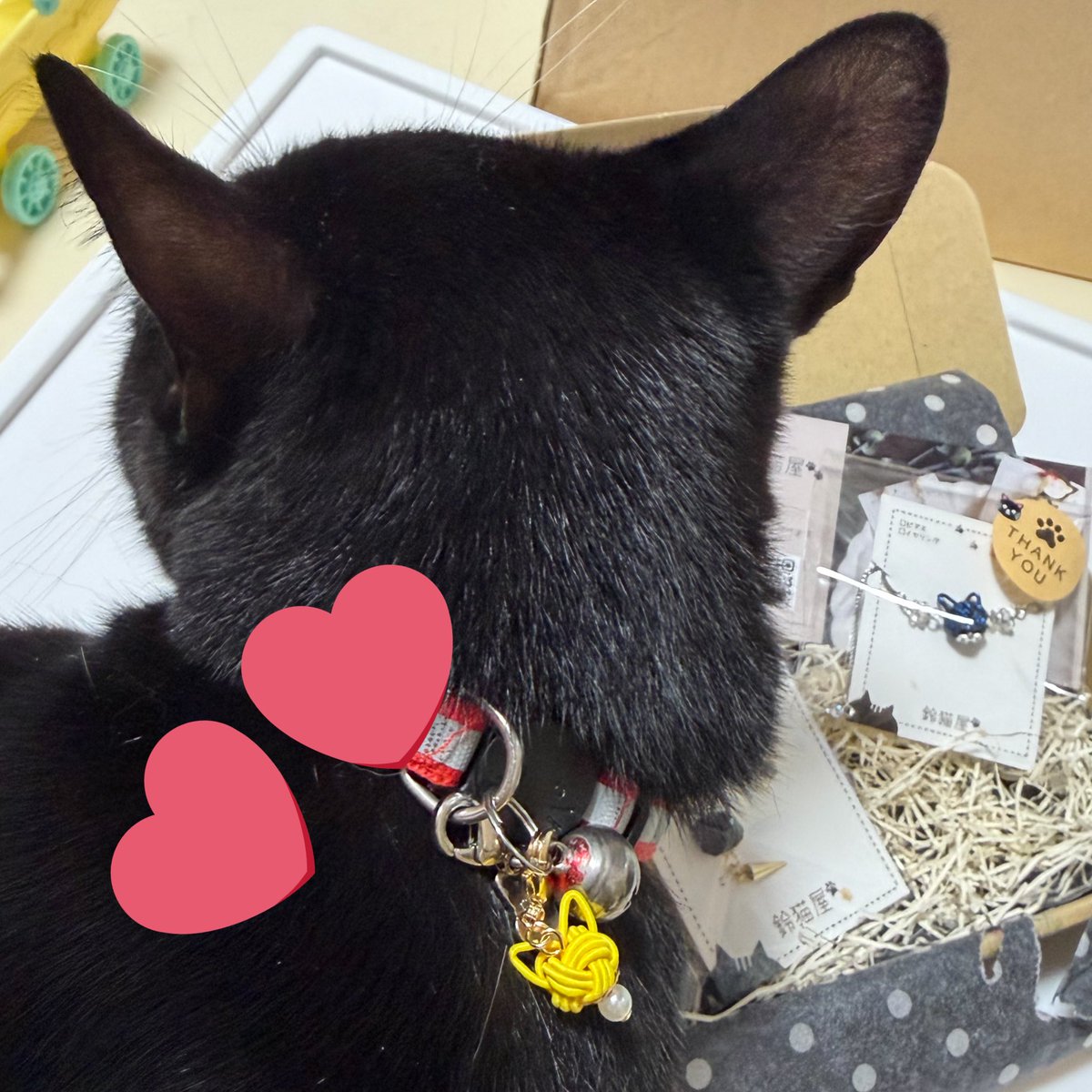 yoru_usa's tweet image. 鈴猫屋(@_suzunekoya_ )さんの念願のイヤーカフ、写真を見た時から気になっていたブレスレットの2点お迎えさせて頂きました!
おまけは大きさがちょうど良かったので、うちのにゃんにあげちゃいました〜
素敵なご縁ありがとうございます✨️